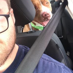 Meet your Posher, William